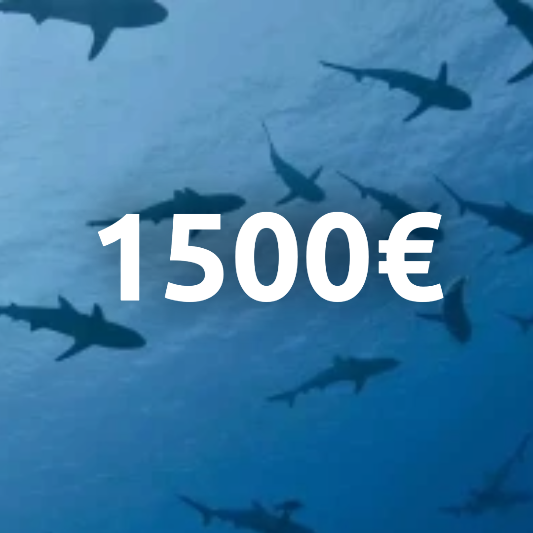 €1500 gift card!