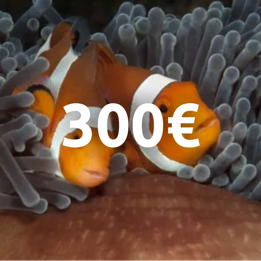 €300 gift card!