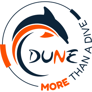 Cartes Cadeaux by DUNE