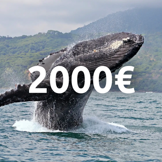€2000 gift card!