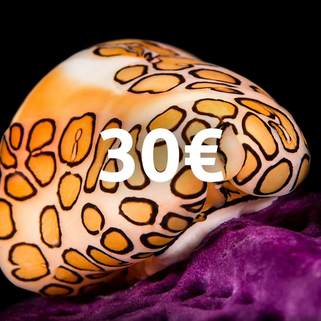 €30 gift card!