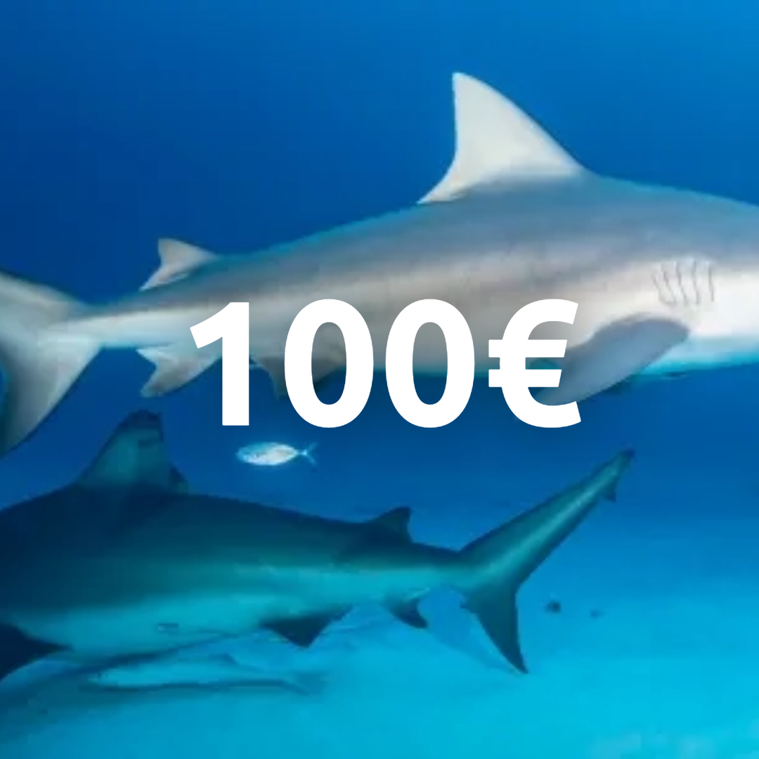 €100 gift card!